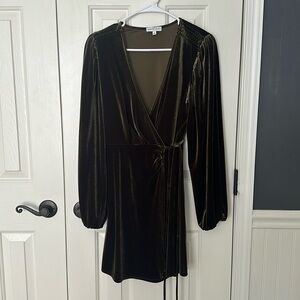 Gianni bini velvet dress